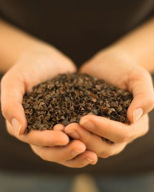 Erzieherinnen-Sitzkissen Füllung